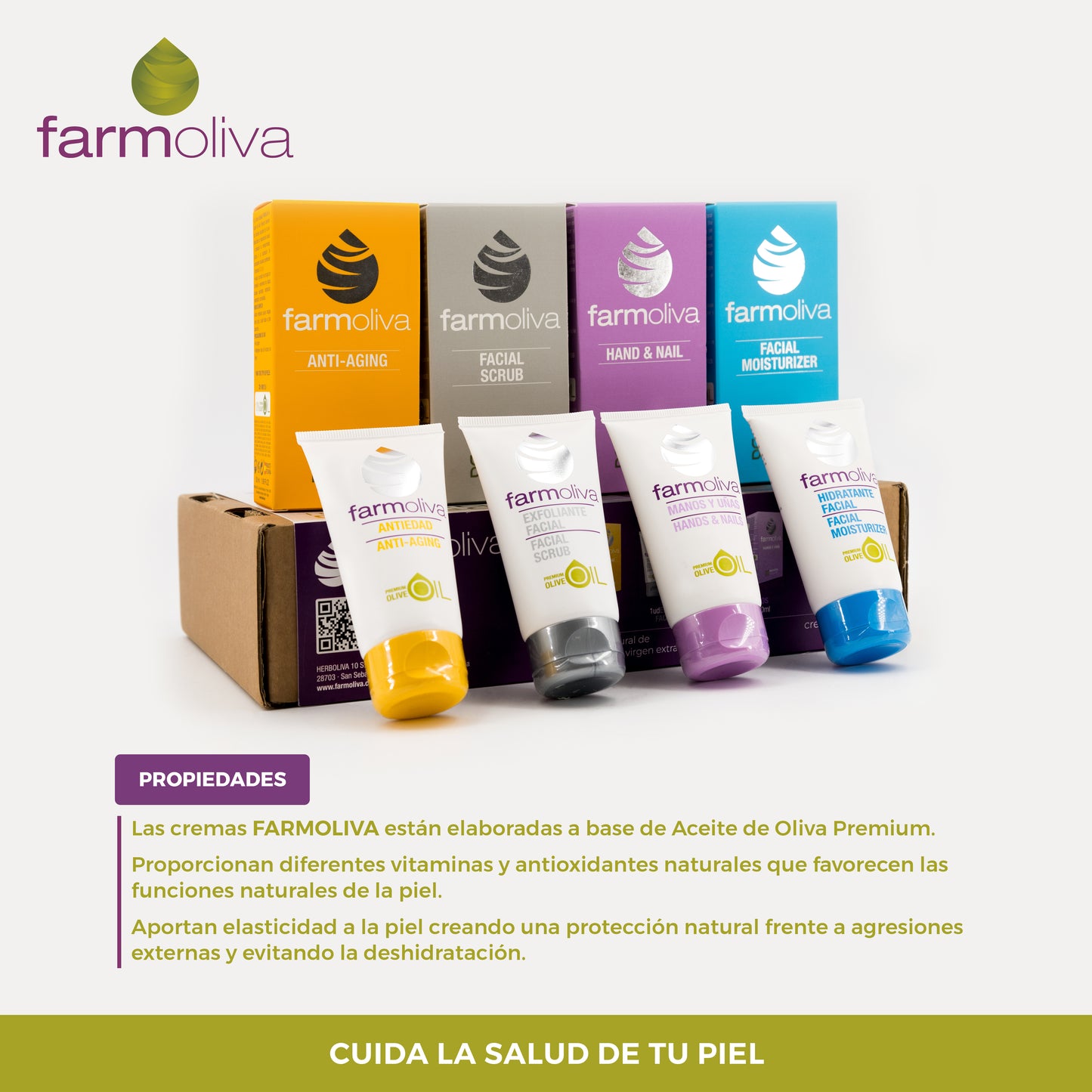 Pack 4 premium olive oil creams 